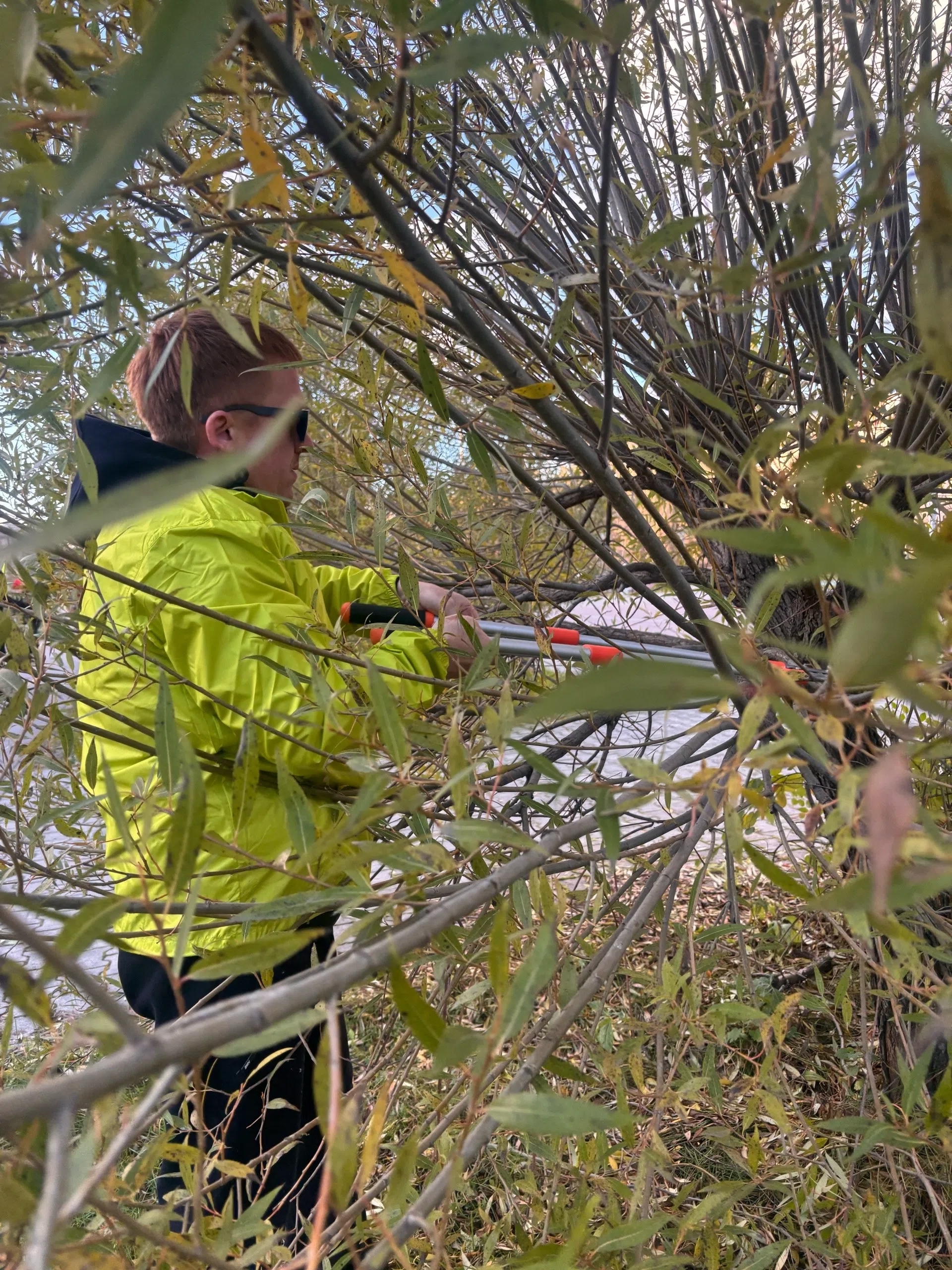 Совет молодежи УЗПМ вышел на субботник в Краснокамске, рис. 5